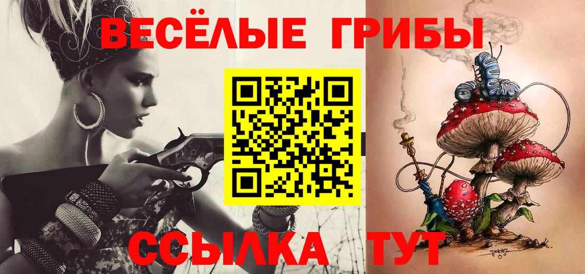магазин продажи   Вход с VPN  Подольск  Псилоцибиновые грибы прущие грибы 