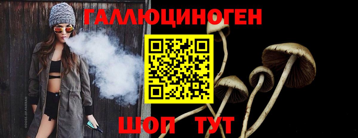 Галлюциногенные грибы прущие грибы Подольск